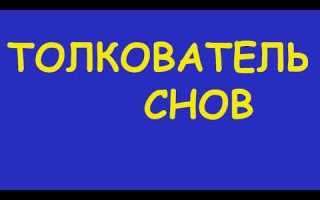 Кошка стала много писать в ростове