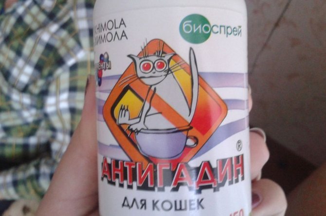 Антигадин - специальный отпугиватель, чтобы кошки не гадили в неположенных местах