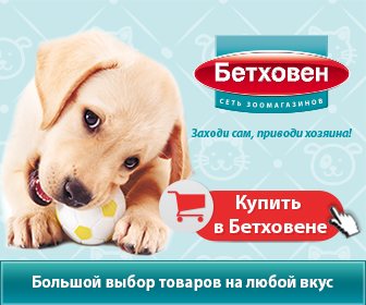 Бетховен