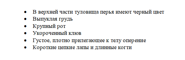 Особенности ласточек