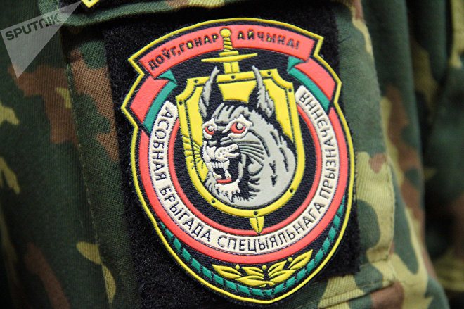 Рысь - символ войсковой части 3214