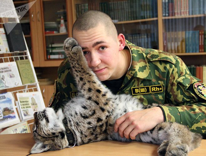 Рысенок воспринимает Алексея, как собрата