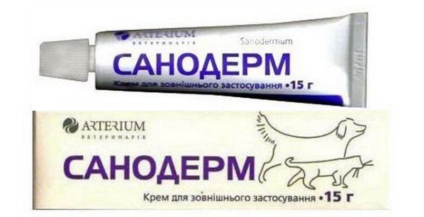 санодерм фото
